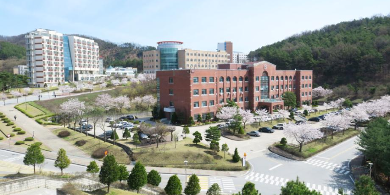 한국교통대학교 전자 투표 시스템 개발